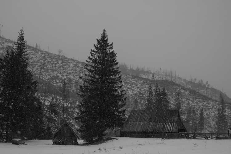 Chochołowska Valley