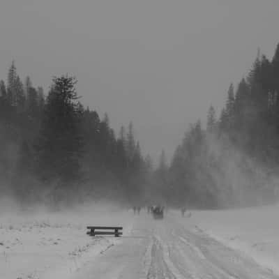 Chochołowska Valley, Poland