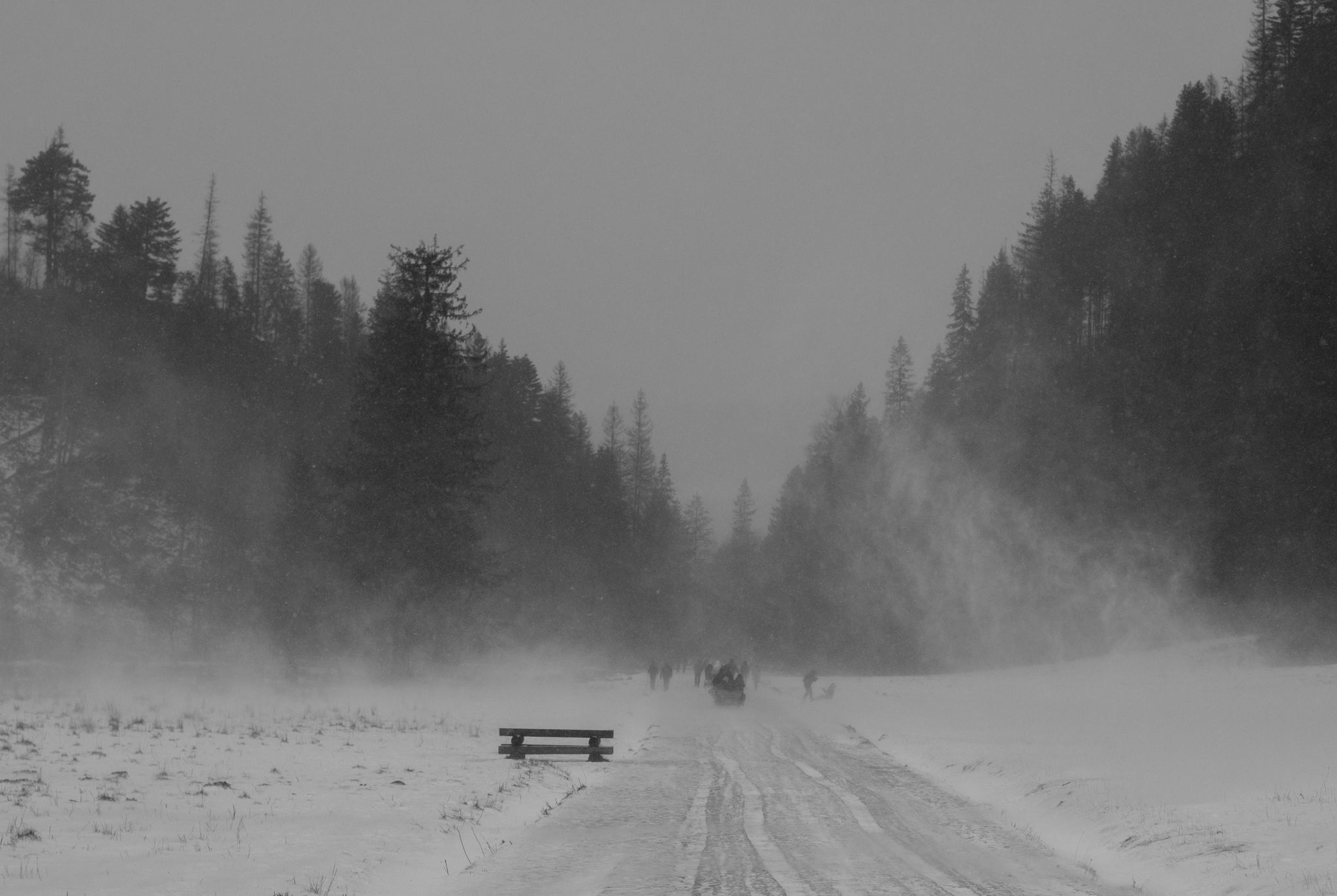 Chochołowska Valley, Poland