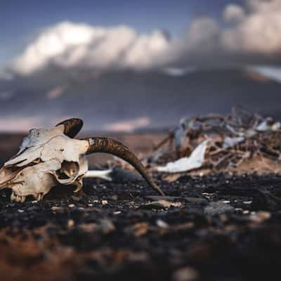 Cofete Wastelands, Spain