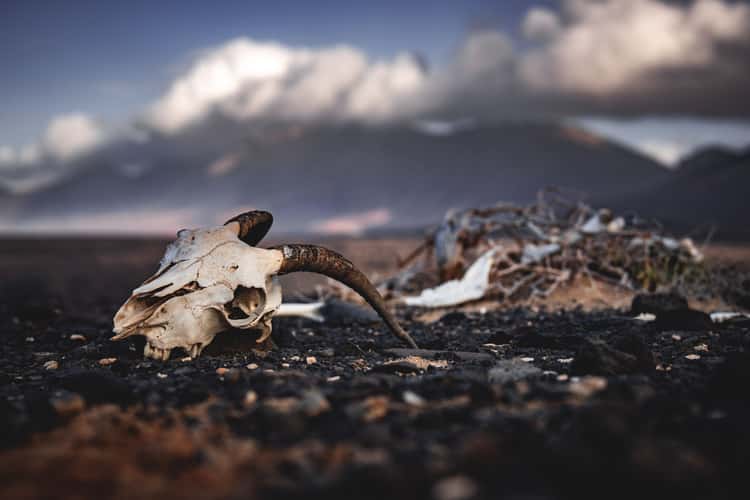 Cofete Wastelands