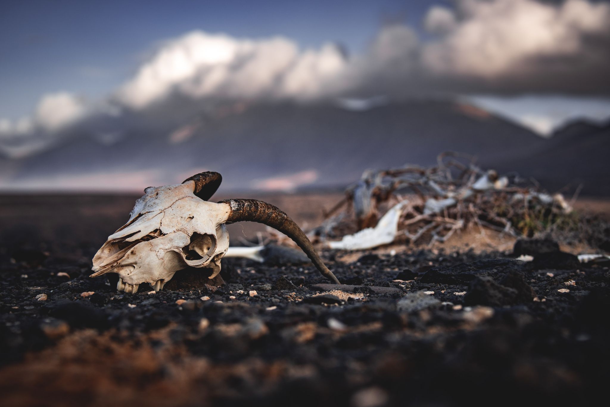 Cofete Wastelands, Spain