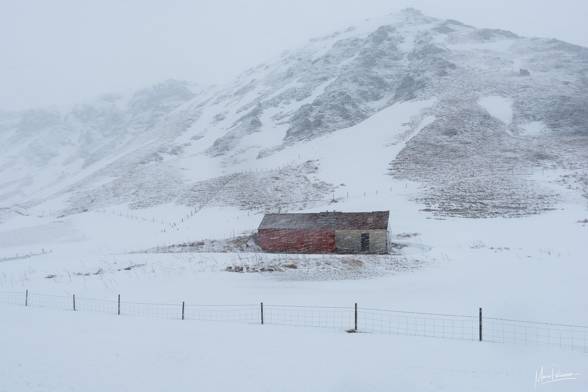 Colored farm, Iceland