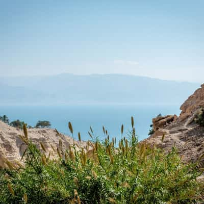 Dead sea, Israel