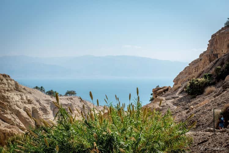 Dead sea