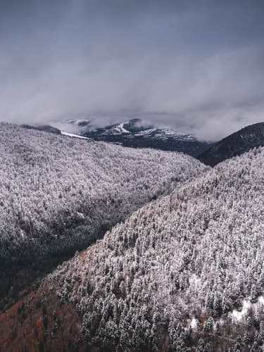 Early Winter