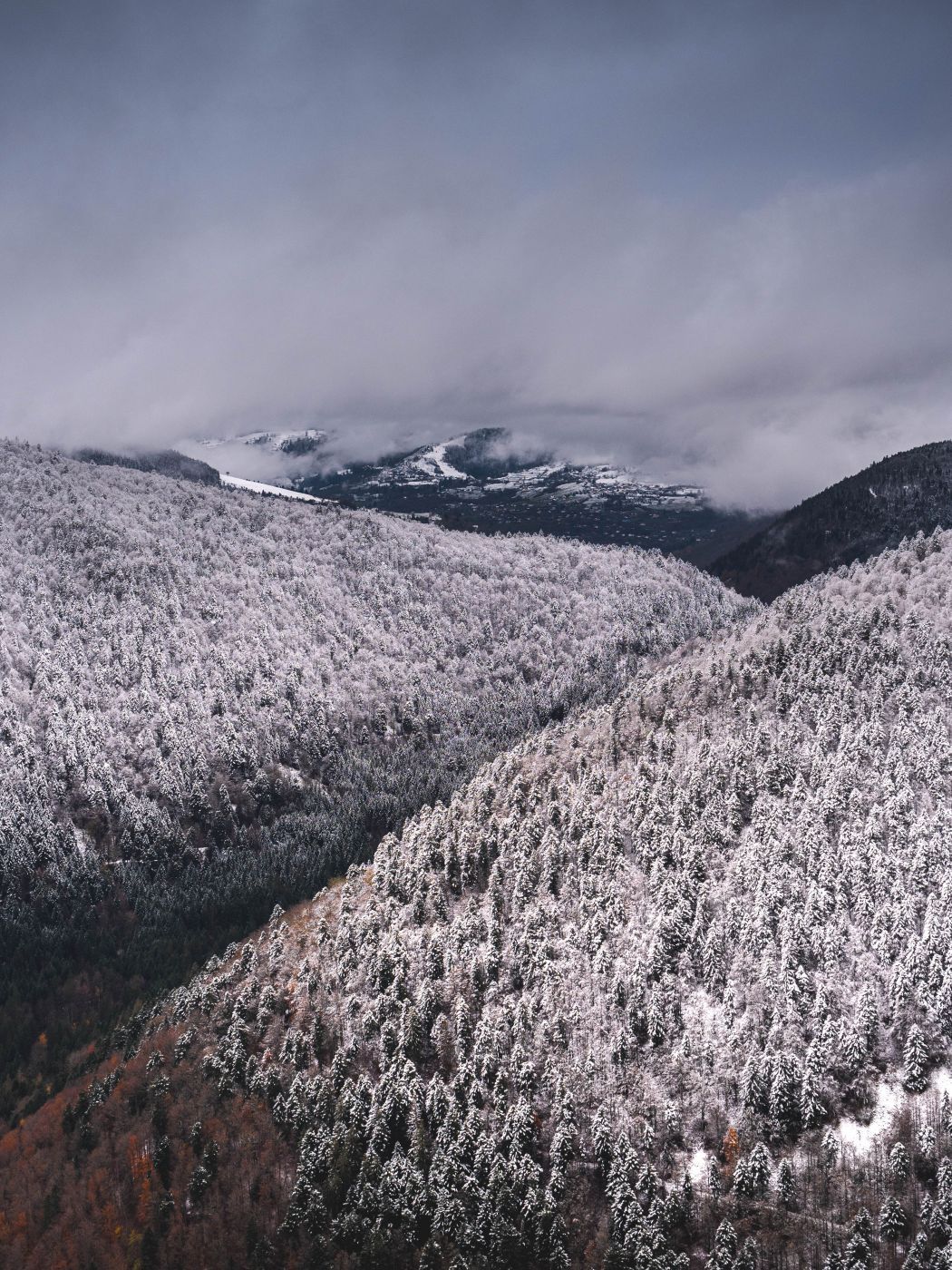 Early Winter, France