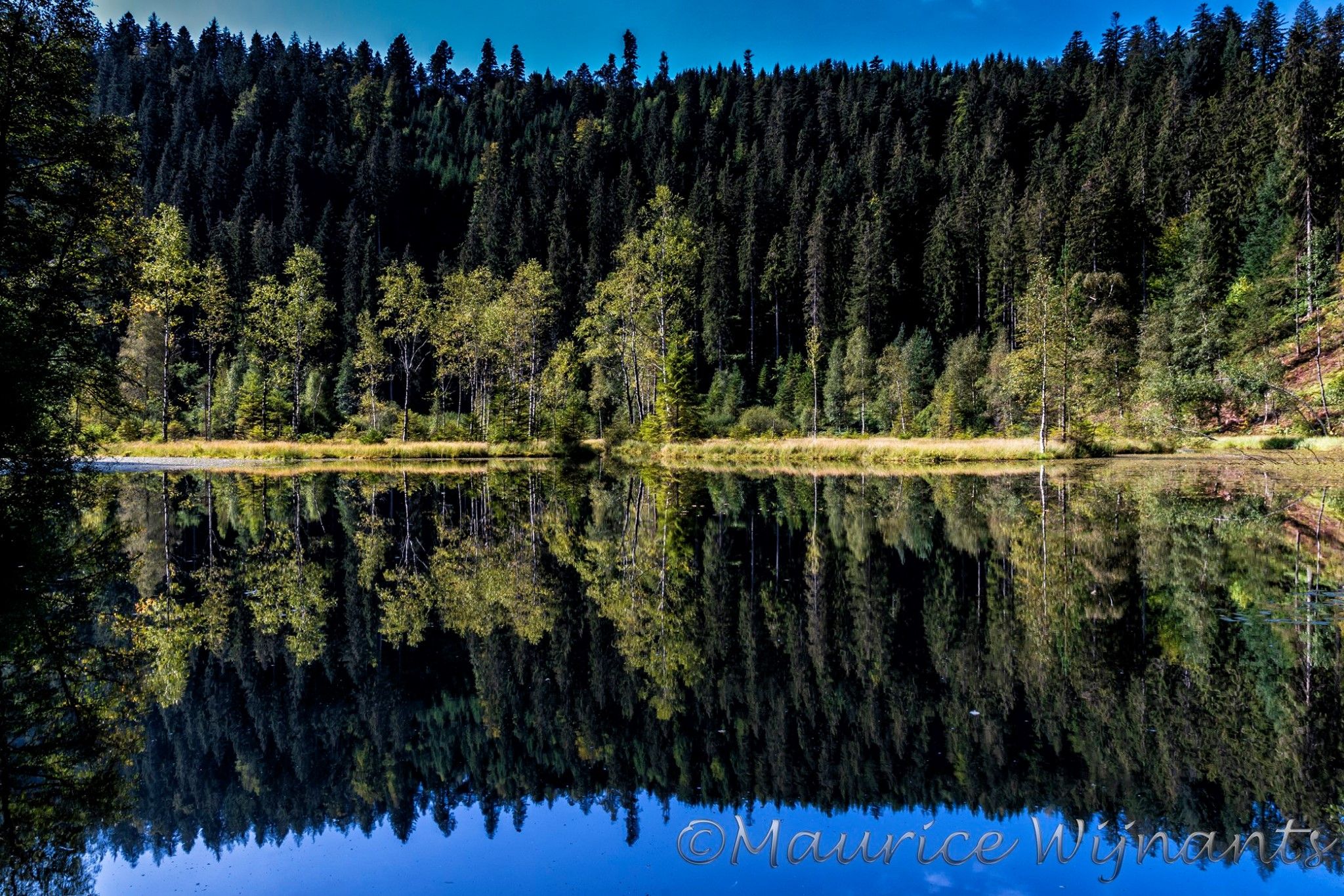 Ellebachsee, Germany