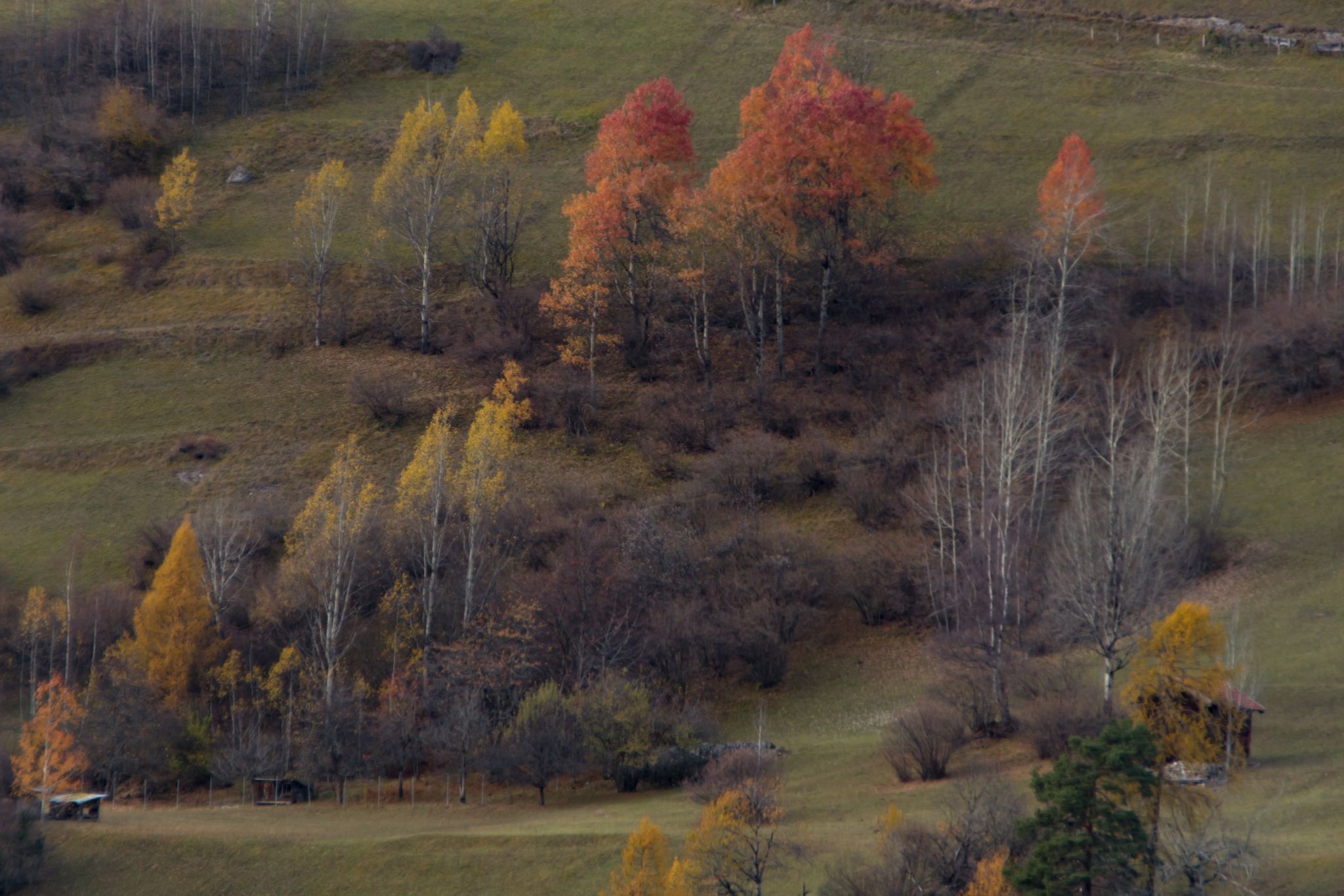 Filisur autumn colours, Switzerland