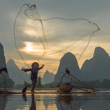 Fisherman at Li river, China
