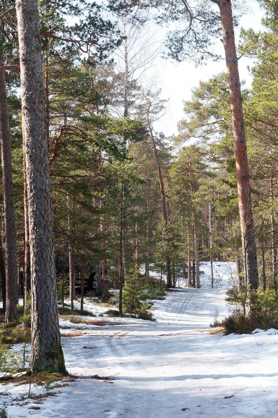 Harku Nature Park, Estonia