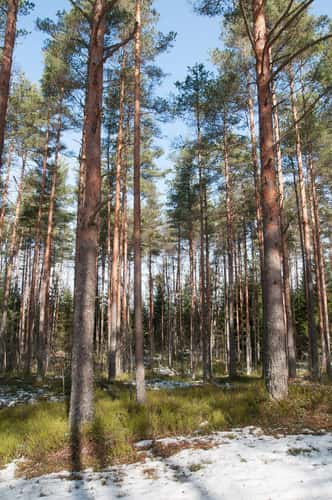 Harku Nature Park