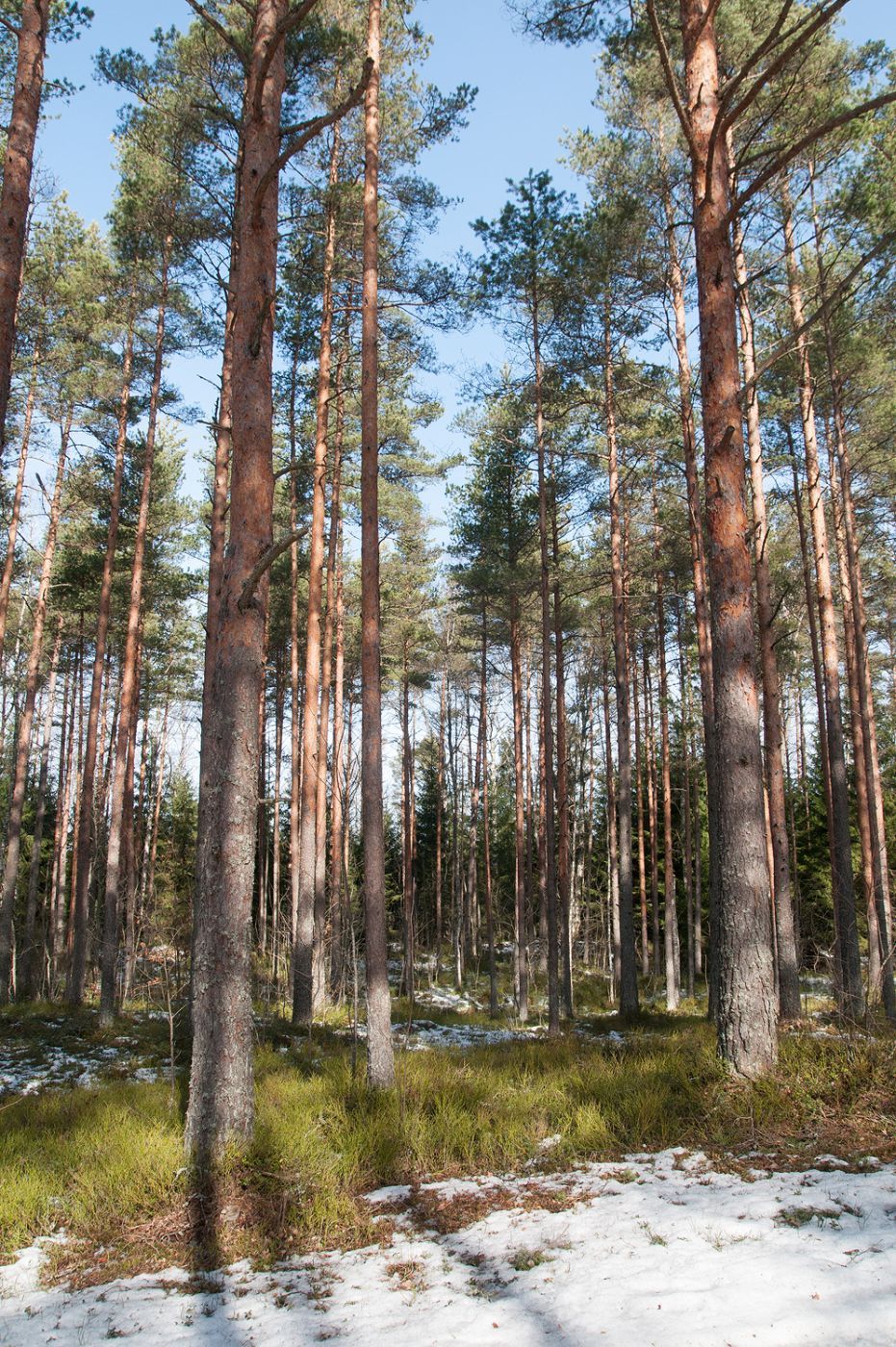 Harku Nature Park, Estonia