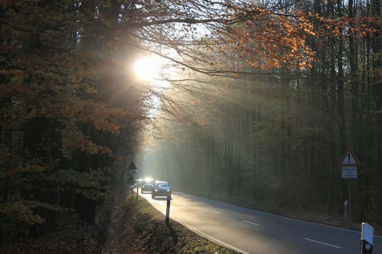 Herbst in den Baumbergen