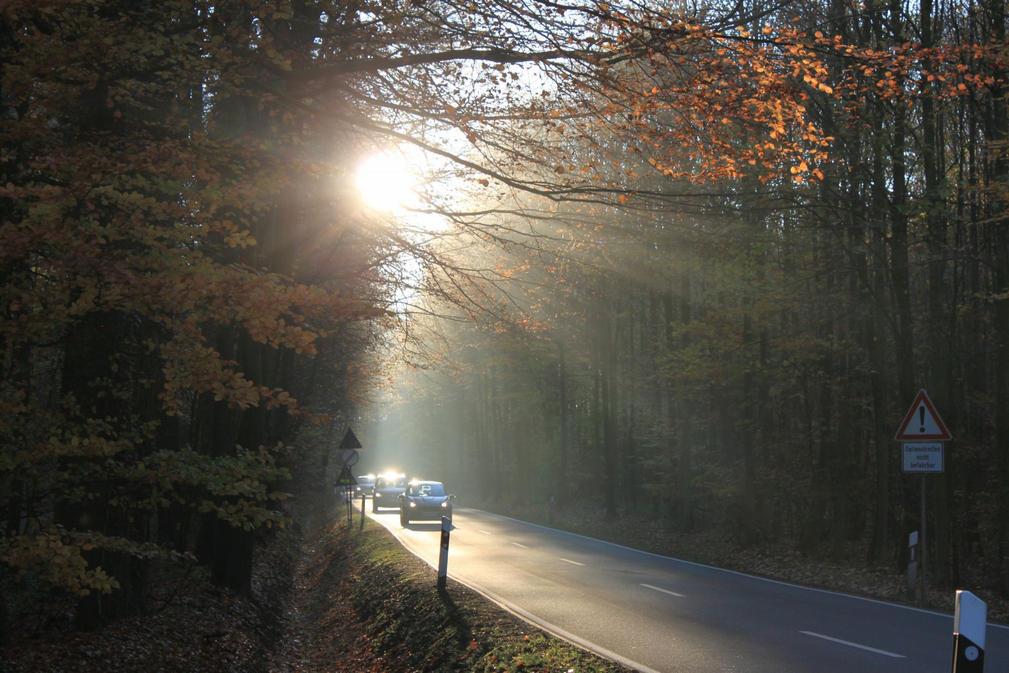 Herbst in den Baumbergen, Germany