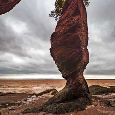 Hopewell Rocks, Bay of Fundy, New Brunswick, Canada