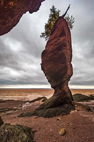 Hopewell Rocks, Bay of Fundy, New Brunswick