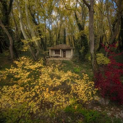 House on the forest, Greece