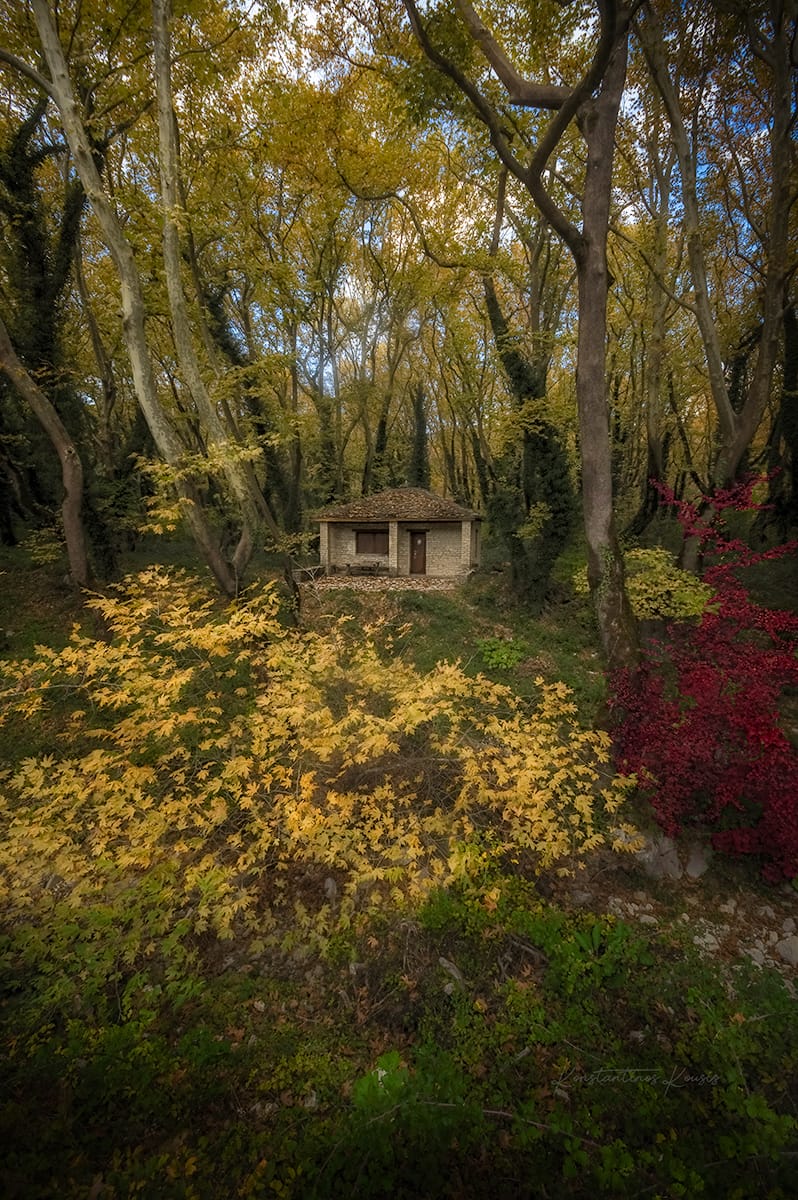 House on the forest, Greece