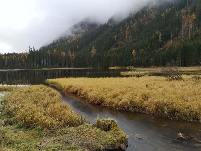 Ingeringsee
