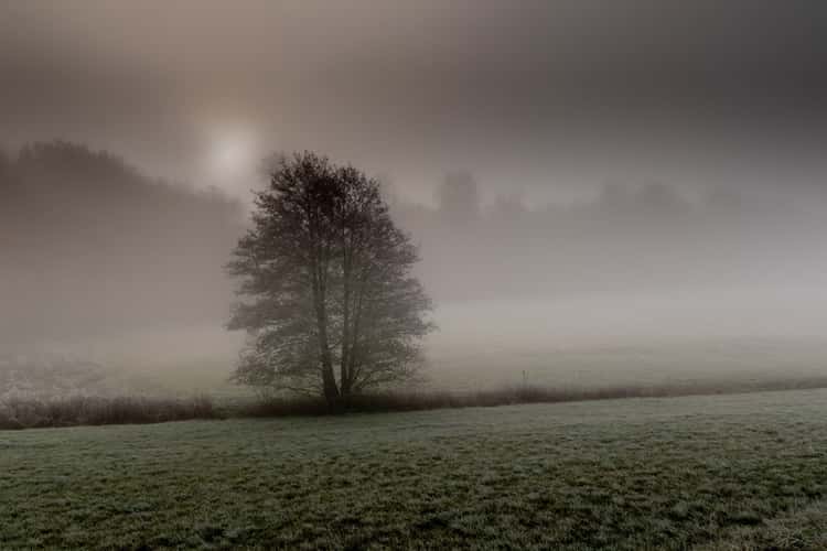 Irgendwo im Taunus