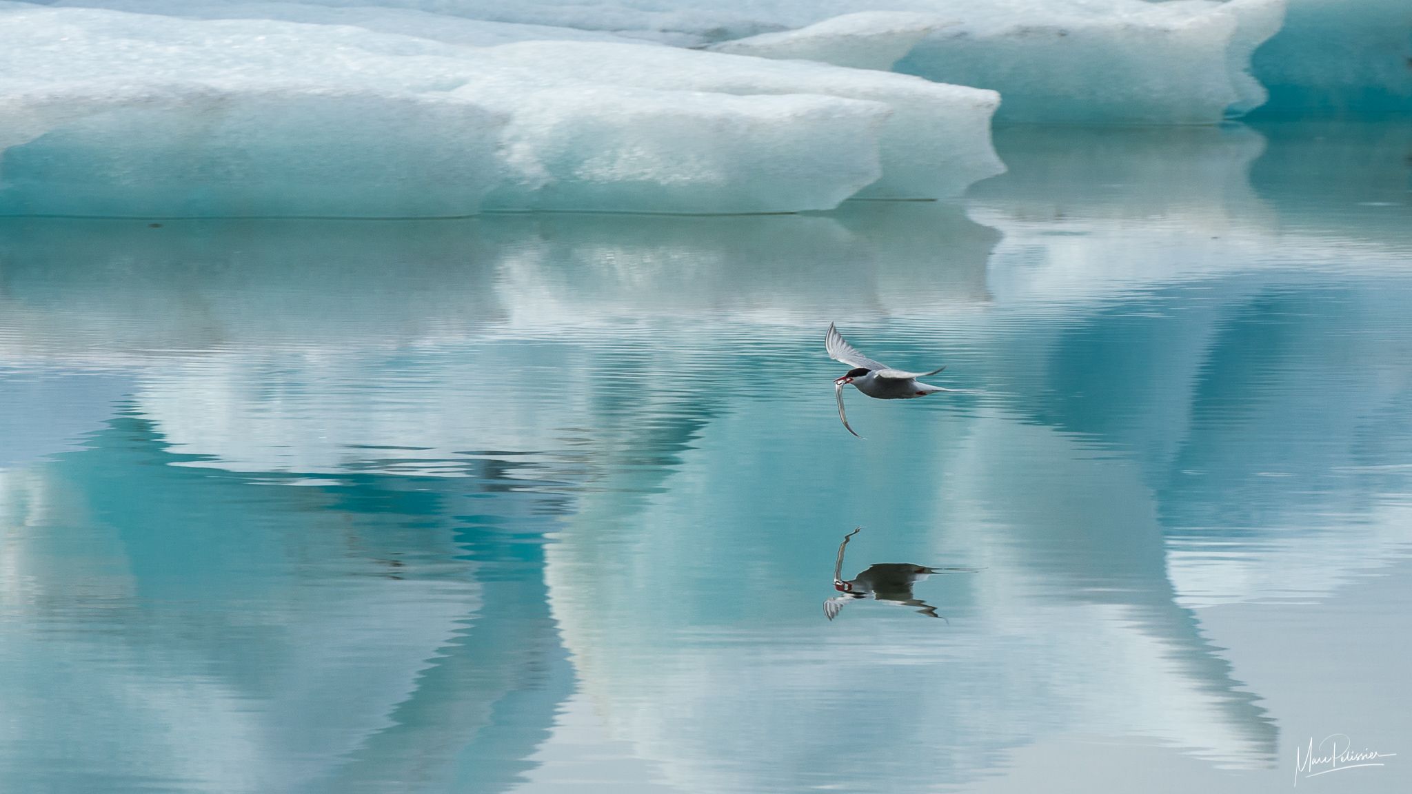 Jökulsárlón Glacier Lagoon, Iceland