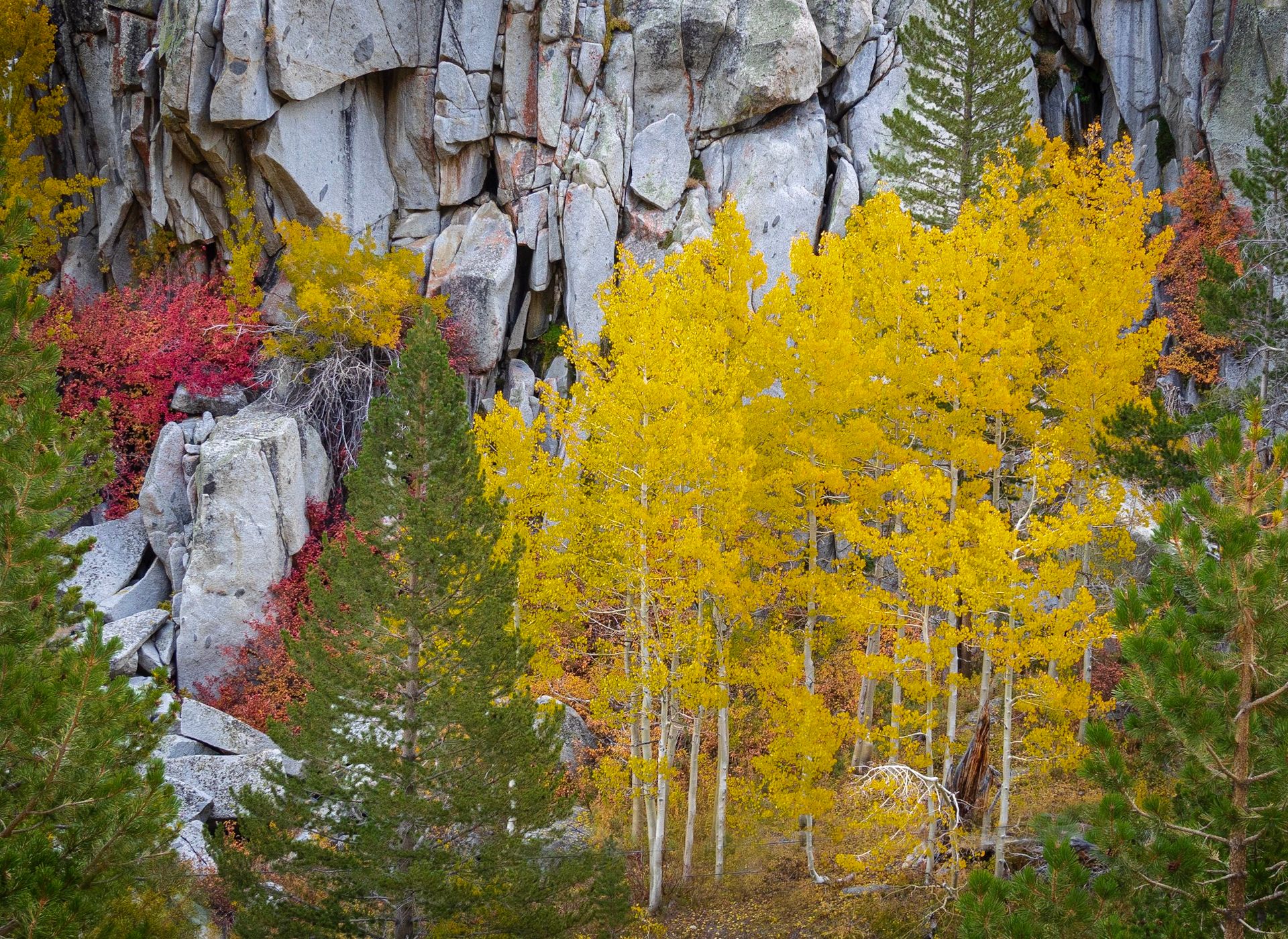 June Lake loop, USA