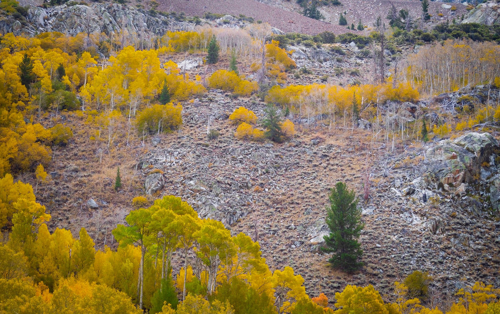 June Lake loop, USA