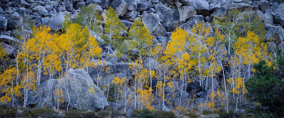 June lake loop