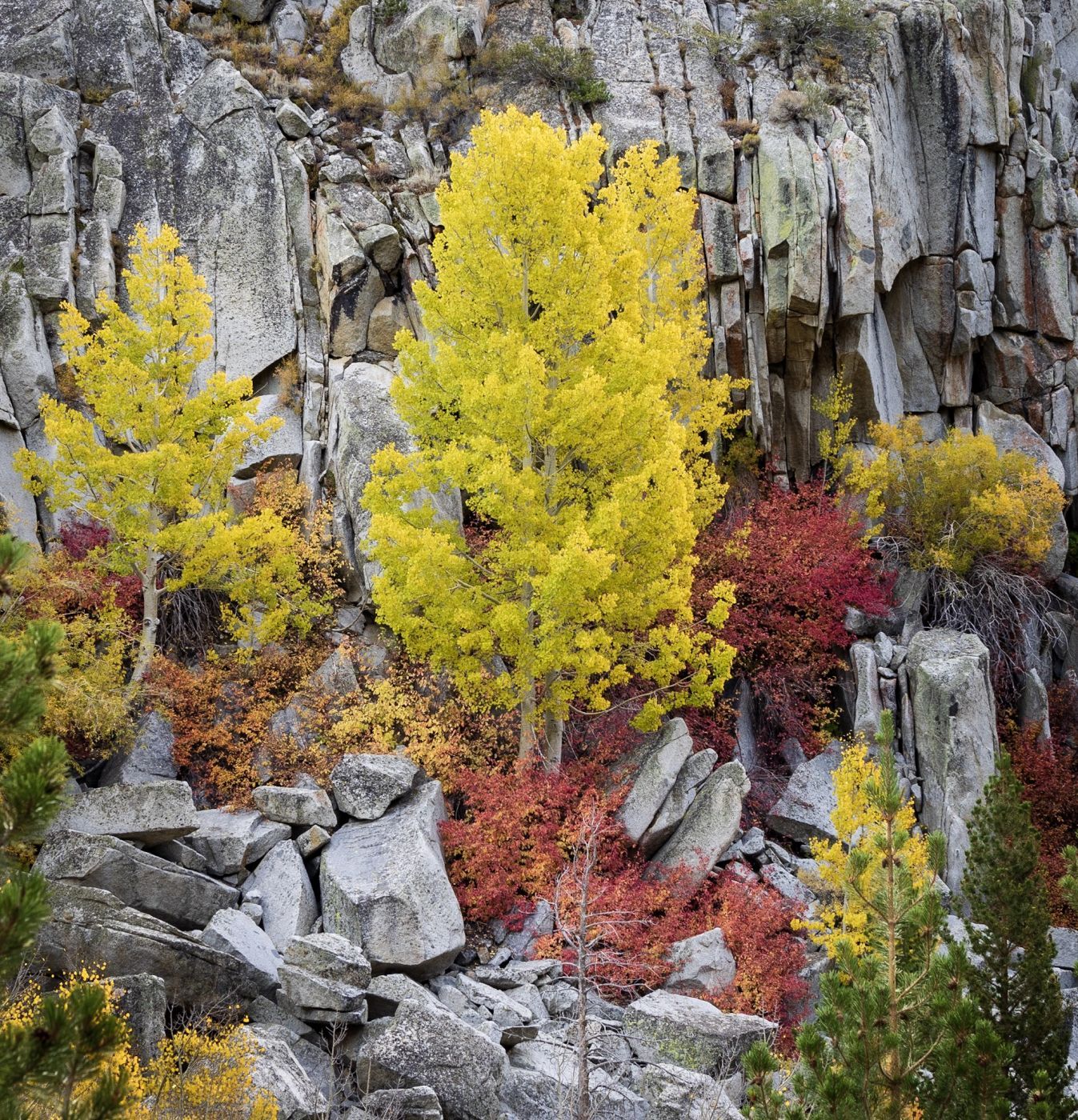 June Lake loop, USA