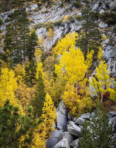 June Lake loop