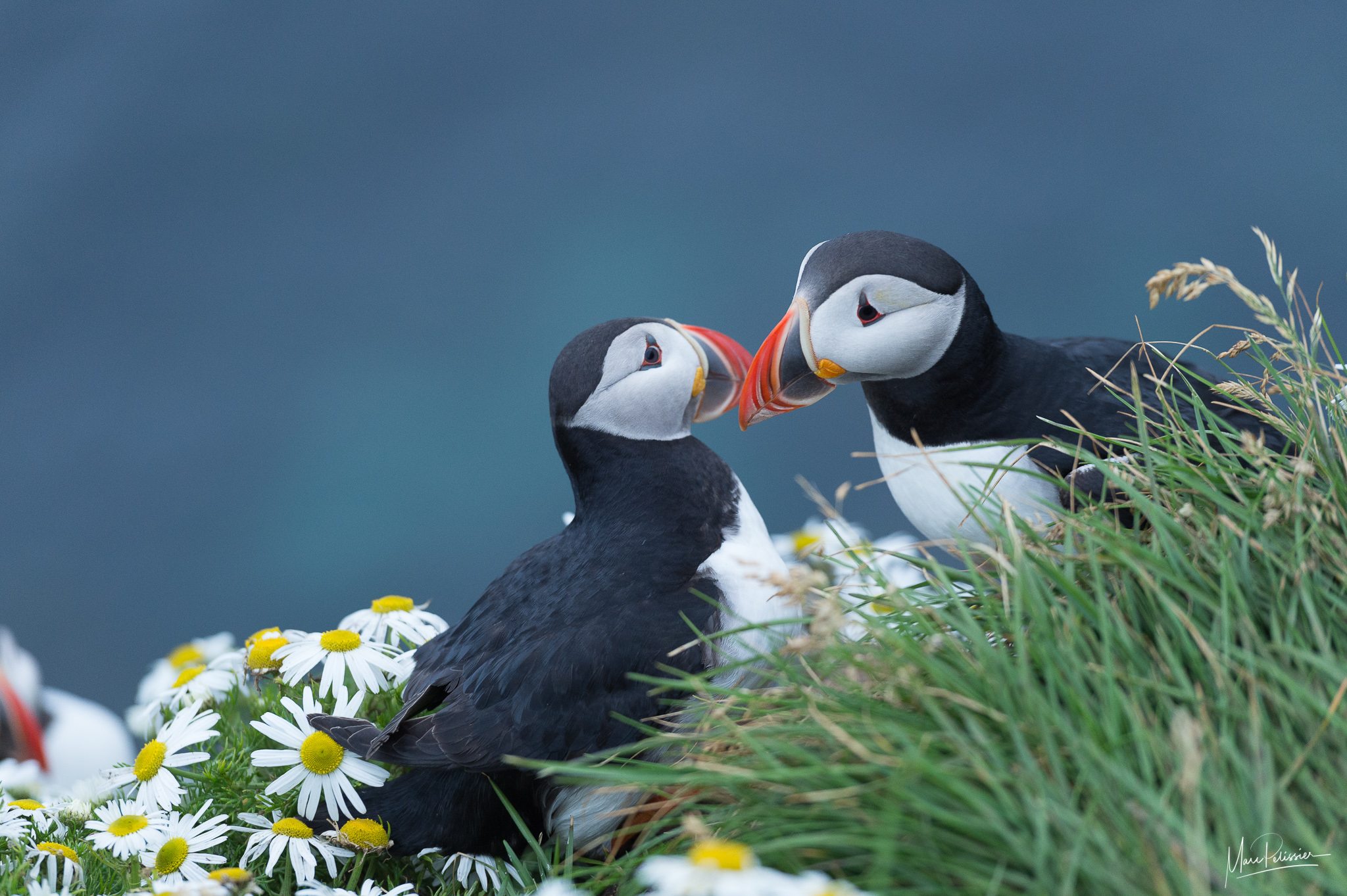 natural reserve - Top Spots for this Photo Theme