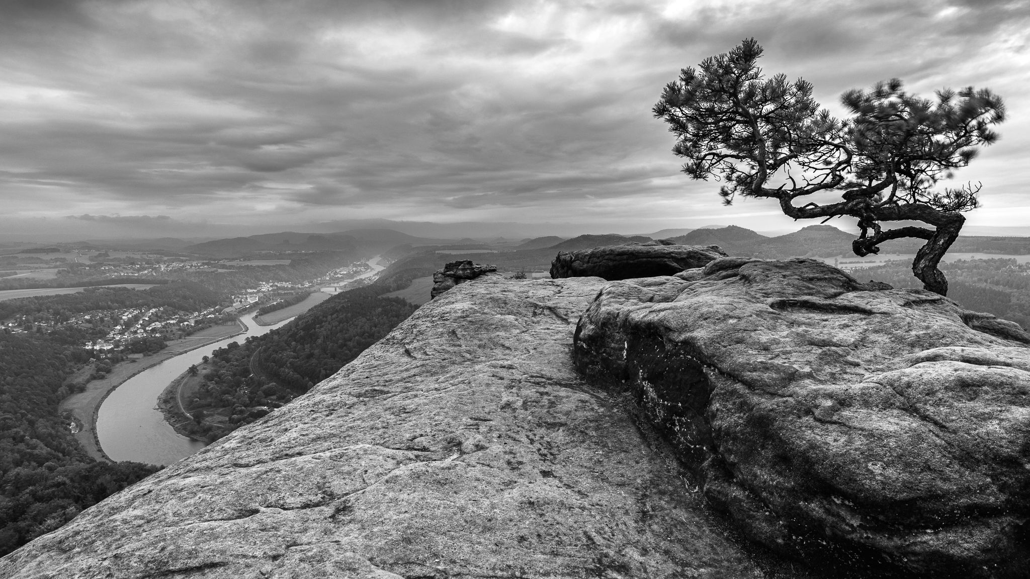 Lilienstein - Wetterkiefer, Germany