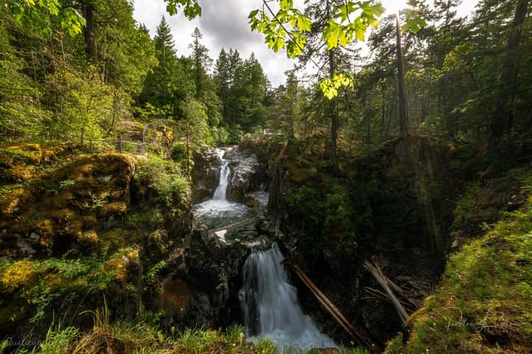 Little Qualicum Falls
