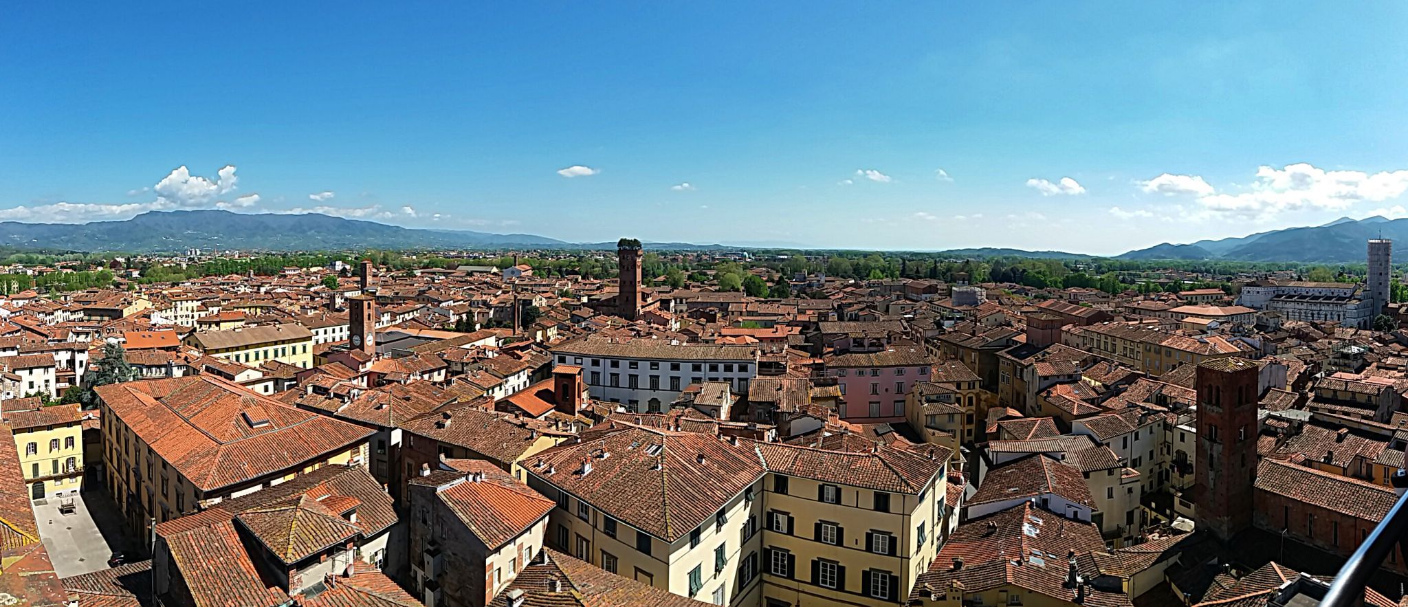 Lucca rooftops from Torre delle Ore, Italy