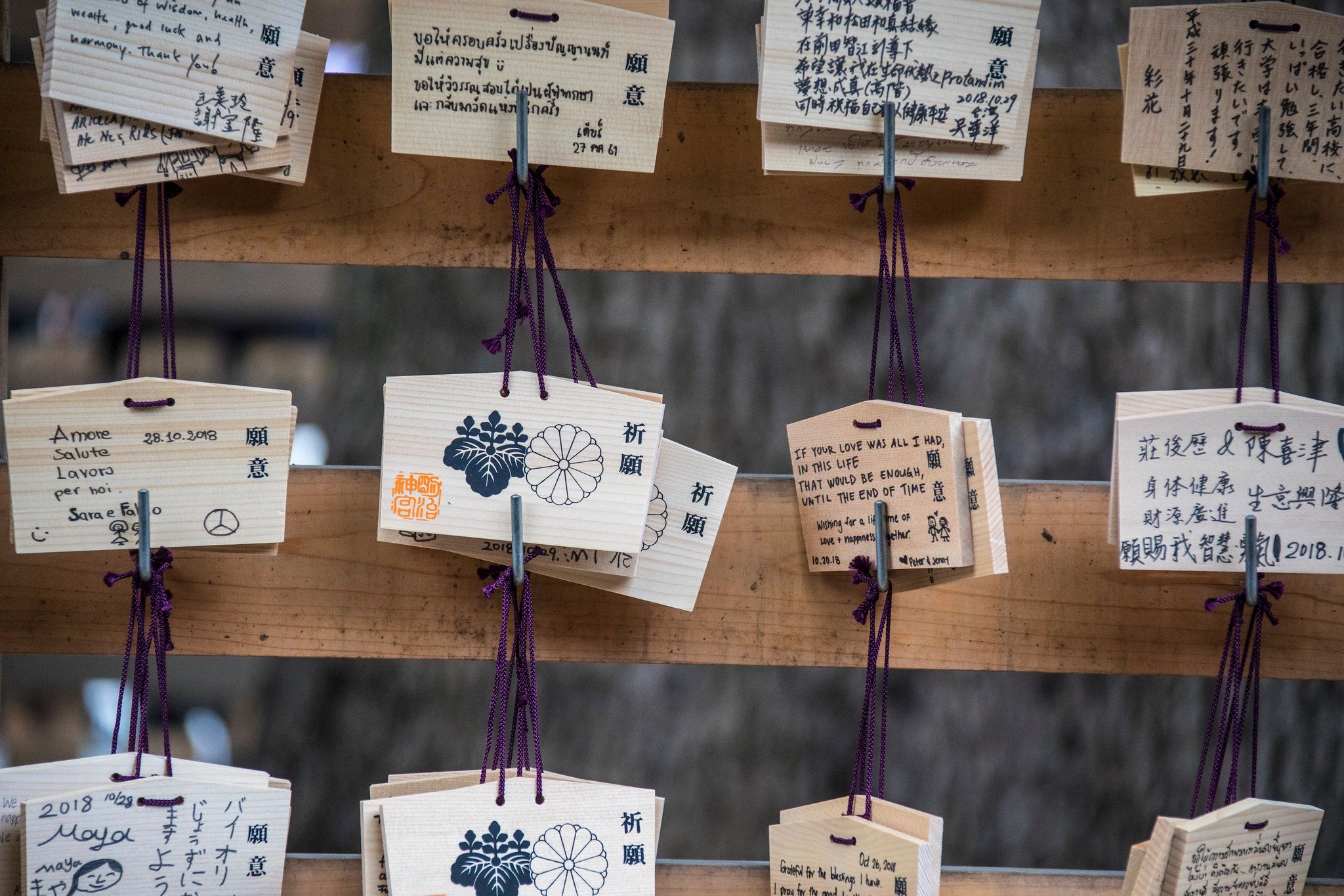 Meiji Shrine, Tokyo, Japan
