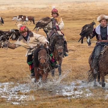 Mongolia eagle hunters, Mongolia