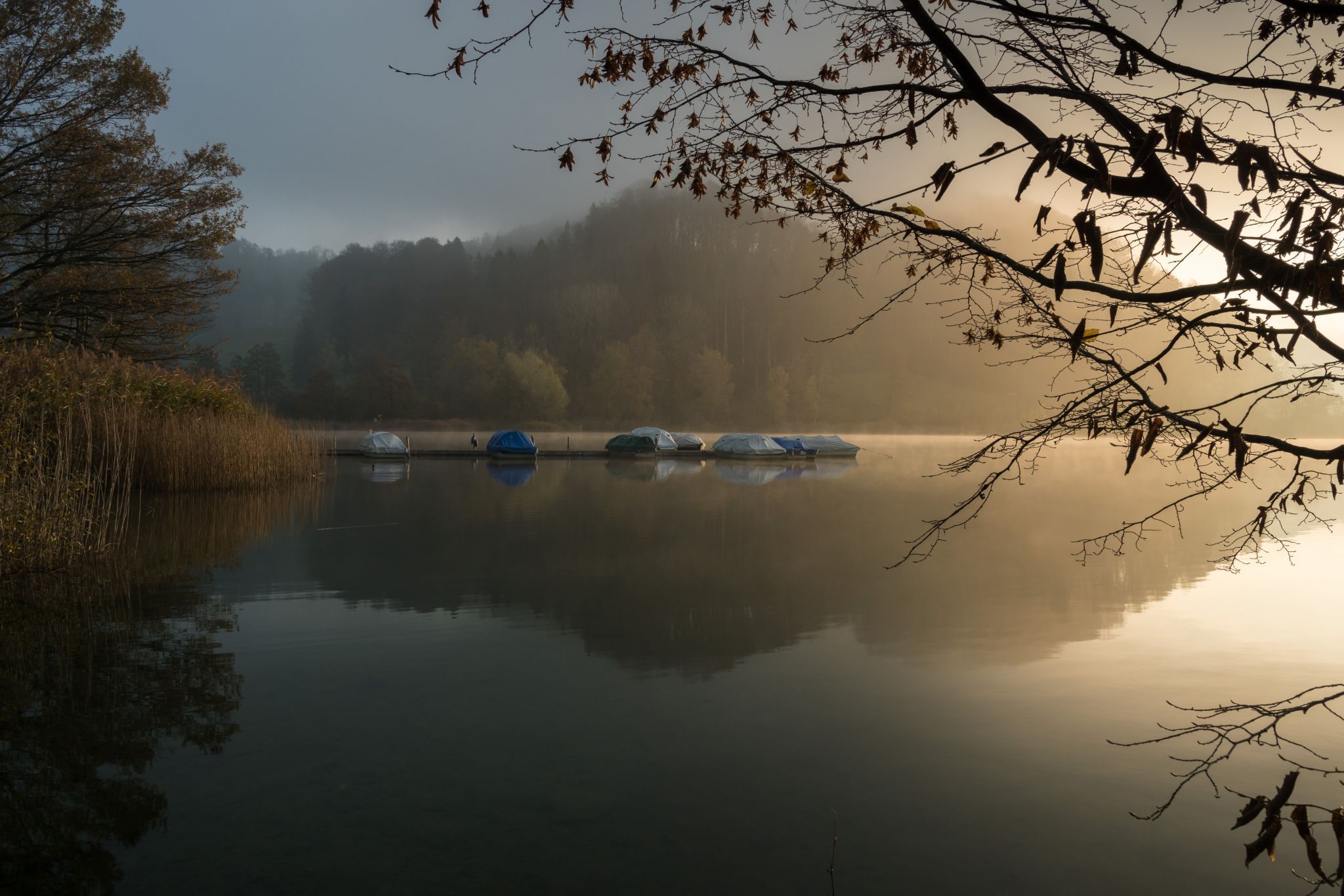 Morning drama, Switzerland