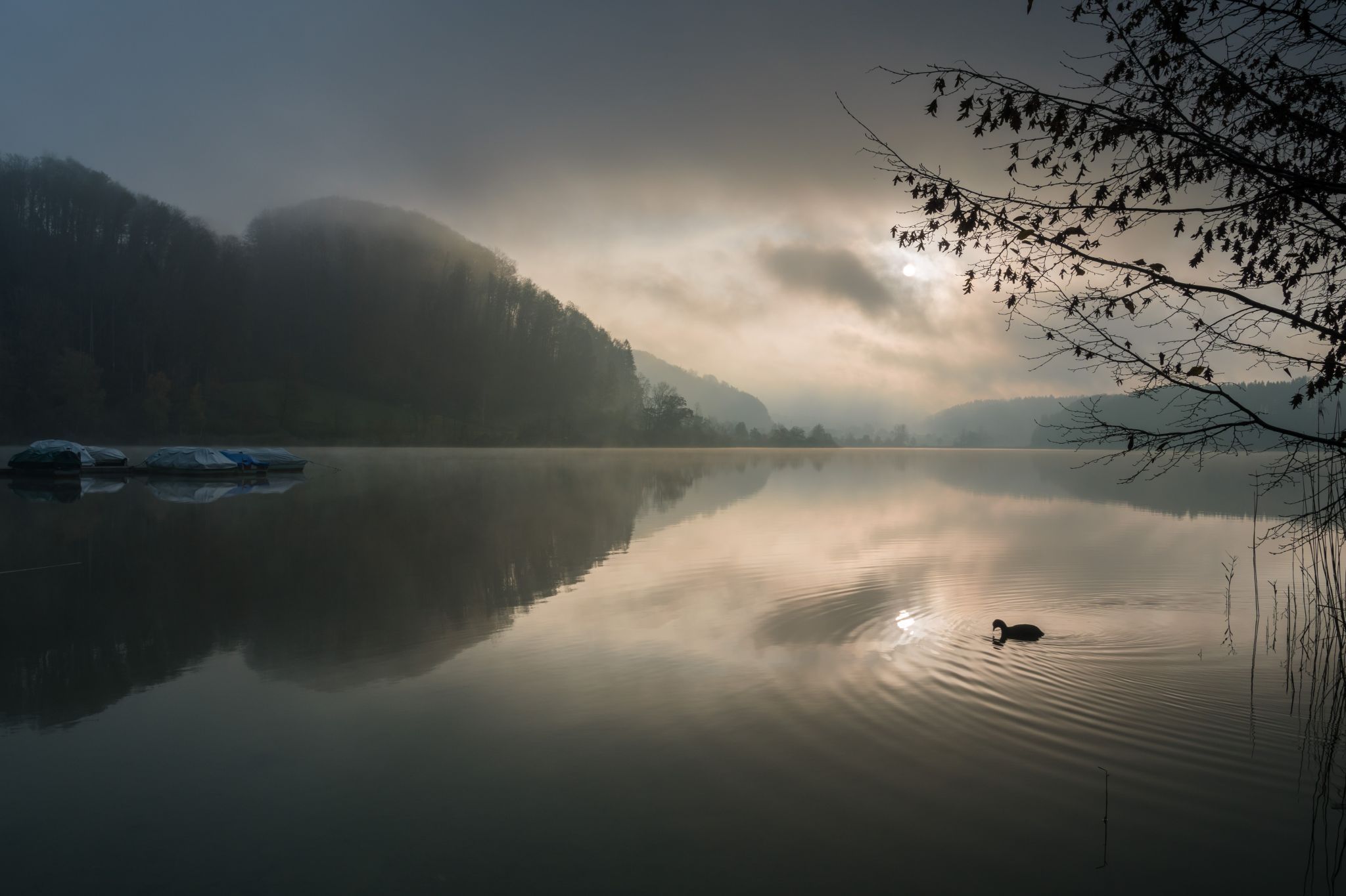 Morning drama, Switzerland