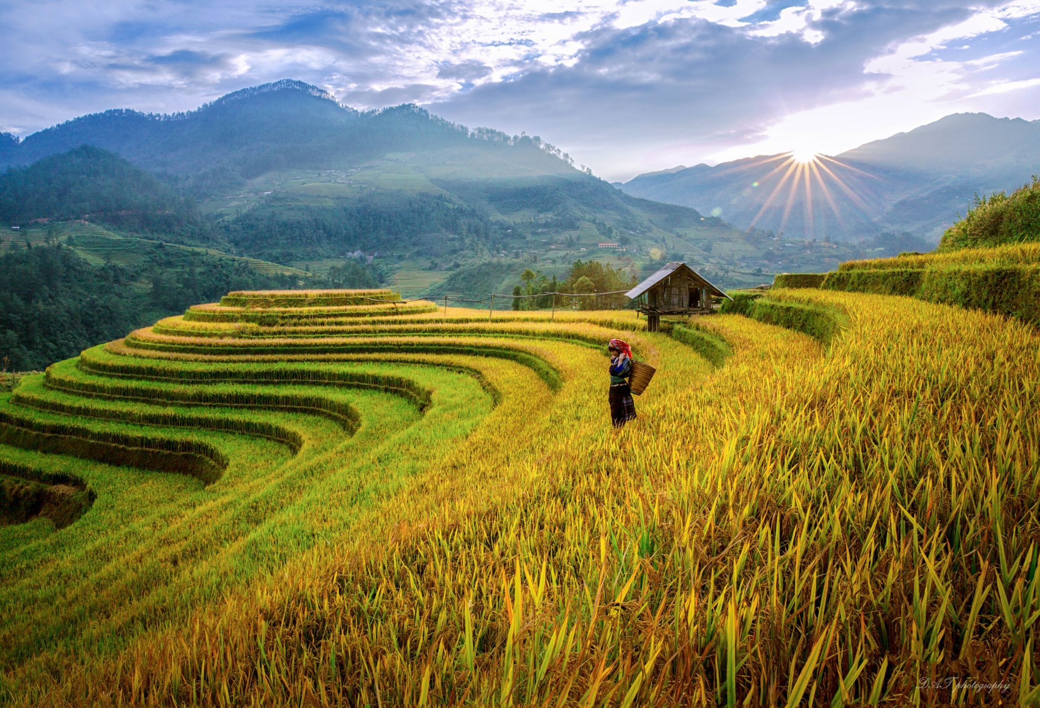 Mu Cang Chai Rice Terraces, Vietnam