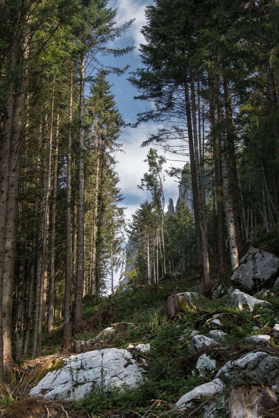 Mythen area, Switzerland