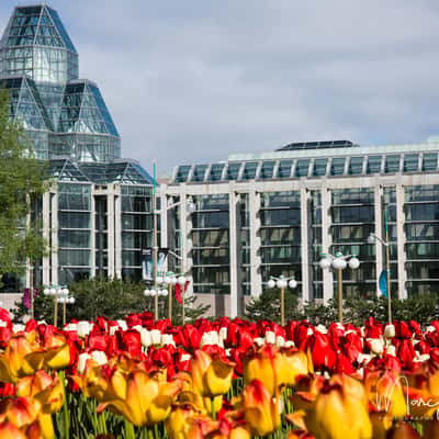 National Gallery of Canada, Canada