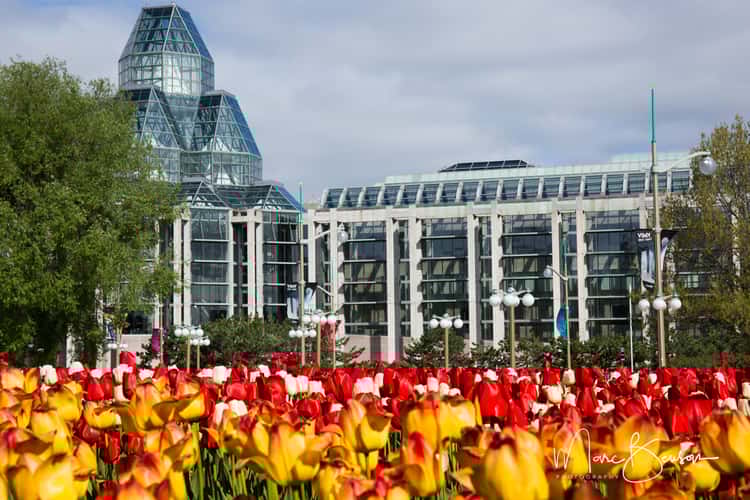 National Gallery of Canada
