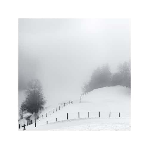 Pfänder - Gipfel