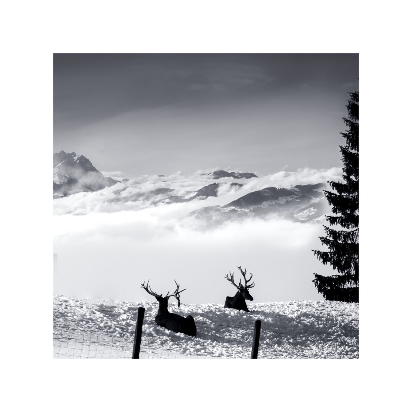 Pfänder - Gipfel, Austria