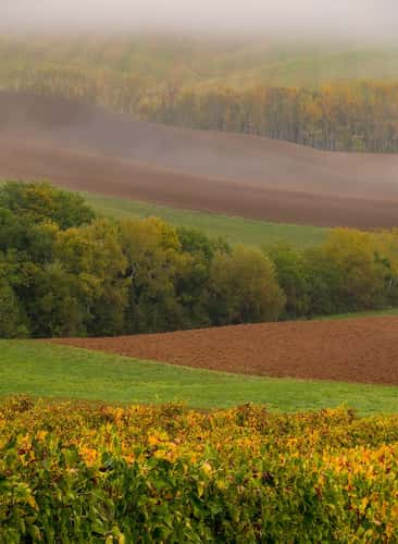 Podere Belvedere