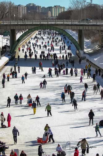 Rideau Canal Skateway