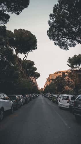 Rome street at sunset