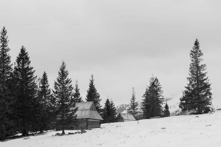 Rusinowa Clearing