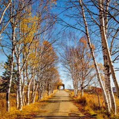 Sawmill Creek Bridge, Hopewell Hill, New Brunswick, Canada